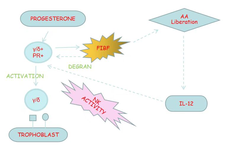 5261763531893541.jpg 2.jpg